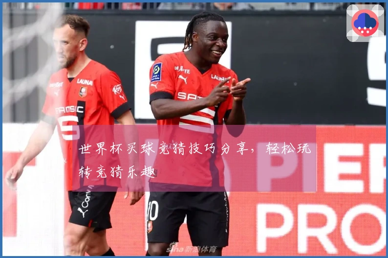 世界杯买球竞猜技巧分享，轻松玩转竞猜乐趣