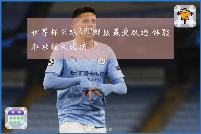世界杯买球APP哪款最受欢迎 体验和功能大比拼