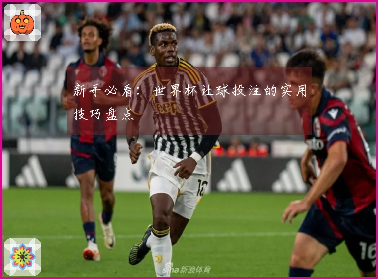 新手必看：世界杯让球投注的实用技巧盘点