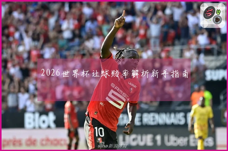 2026世界杯让球赔率解析新手指南