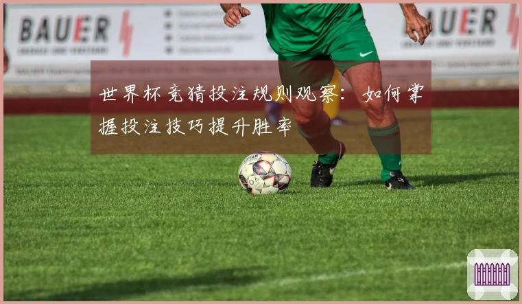 世界杯竞猜投注规则观察：如何掌握投注技巧提升胜率