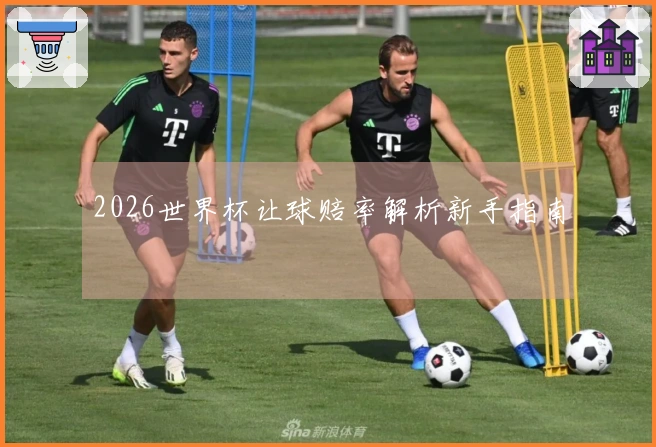 2026世界杯让球赔率解析新手指南
