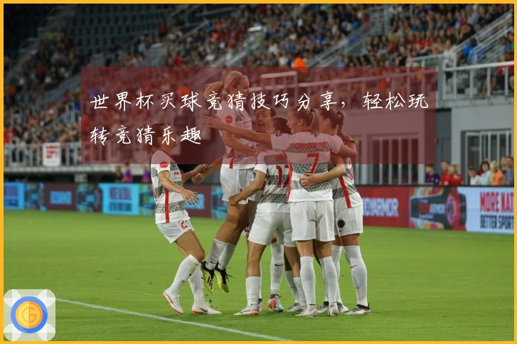 世界杯买球竞猜技巧分享，轻松玩转竞猜乐趣
